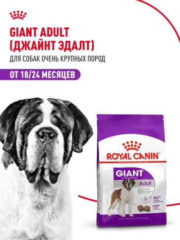 Сухой корм Royal Canin Giant Adult для собак, 15 кг фото 12
