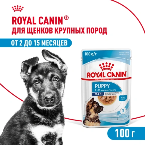 Влажный корм Royal Canin Maxi Puppy для щенков крупных пород в соусе, 100 г фото 1