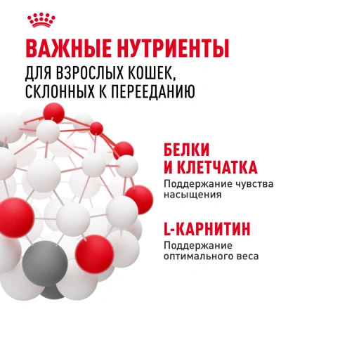 Влажный корм Royal Canin Appetite Control Care в желе для взрослых кошек, для контроля выпрашивания корма, пауч, 85 г фото 5