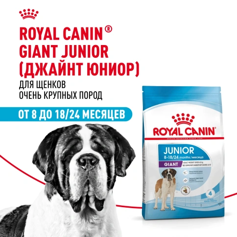 Сухой корм Royal Canin Giant Junior для щенков, 3,5 кг фото 11
