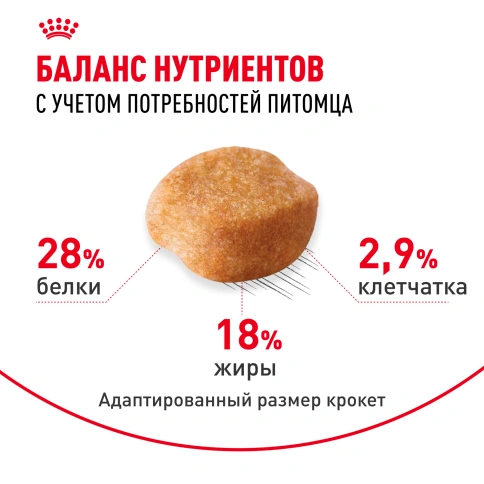 Сухой корм Royal Canin Yorkshire Terrier Adult для взрослых собак, 3 кг фото 4