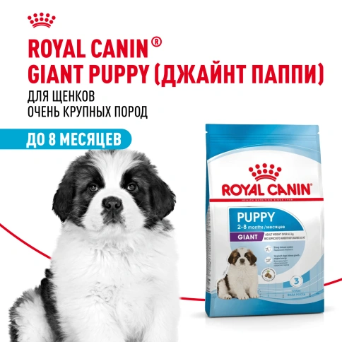 Сухой корм Royal Canin Giant Puppy для щенков, 3,5 кг фото 11