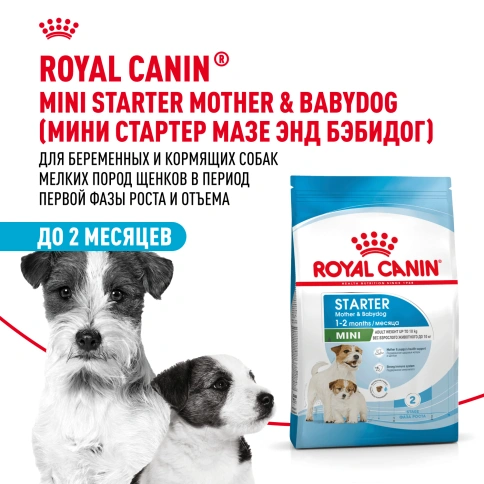 Сухой корм Royal Canin Mini Starter Mother & Babydog для щенков и кормящих сук, 1 кг фото 13