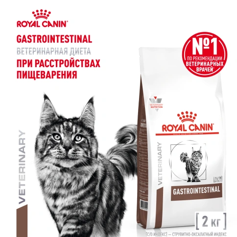 Сухой корм Royal Canin Gastrointestinal для кошек, 2 кг фото 1