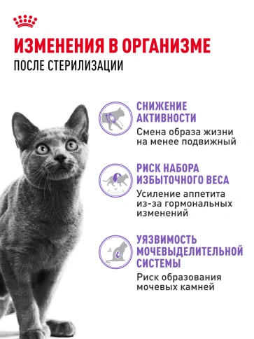 Сухой корм Royal Canin Sterilised для кастрированных котов и стерилизованных кошек, 2 кг фото 22