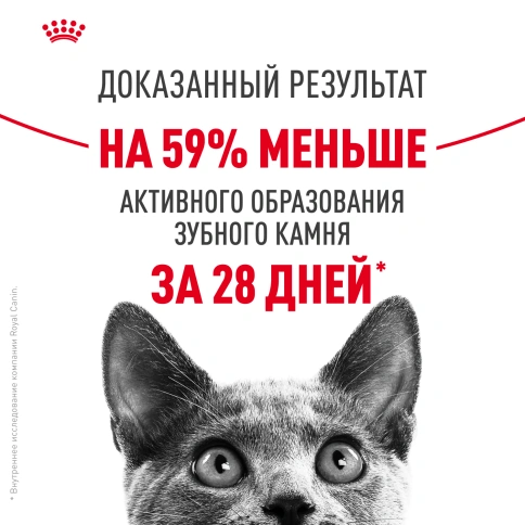 Сухой корм Royal Canin Dental Care для кошек, 1,5 кг фото 11
