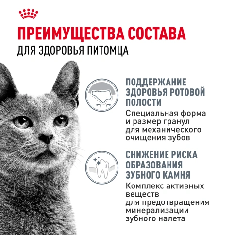 Сухой корм Royal Canin Dental Care для кошек, 1,5 кг фото 3