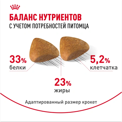 Сухой корм Royal Canin Sphynx для кошек породы сфинкс, 2 кг фото 4