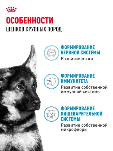 Сухой корм Royal Canin Maxi Puppy для щенков, 3 кг фото 19
