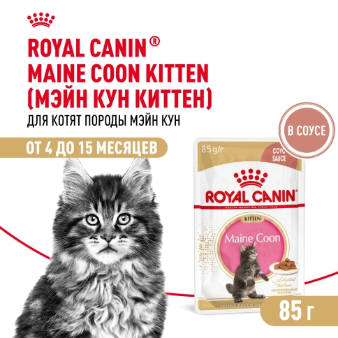 Влажный корм Royal Canin Maine Coon Kitten в соусе для котят породы мейн-кун и других крупных пород старше 3 месяцев, пауч, 85 г фото 1