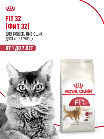 Сухой корм Royal Canin Fit для кошек, 400 г фото 13
