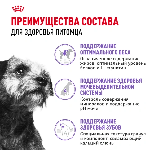 Сухой корм Royal Canin Mini Sterilised для стерилизованных собак, 3 кг фото 3