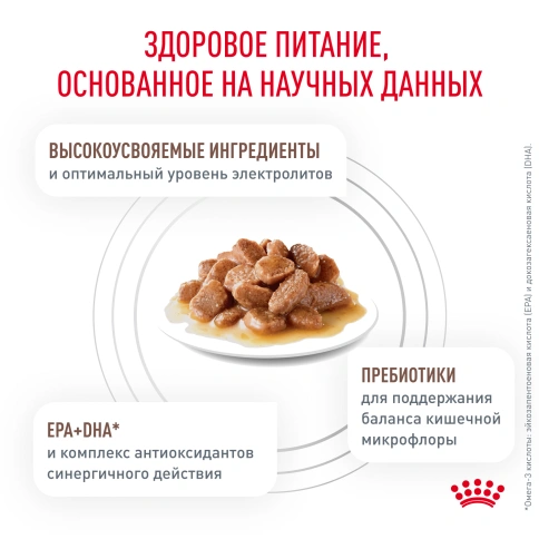 Влажный корм Royal Canin Gastrointestinal диетический для кошек при расстройствах пищеварения, пауч, 85 г фото 7