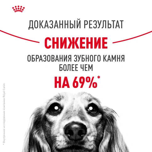 Сухой корм Royal Canin Mini Dental Care для собак, 3 кг фото 11