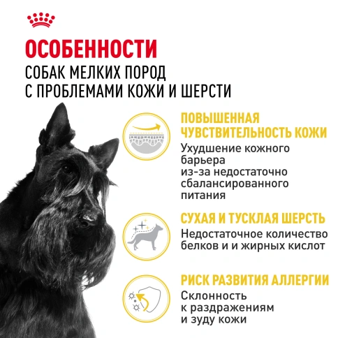 Сухой корм Royal Canin Mini Dermacomfort для собак, 1 кг фото 2