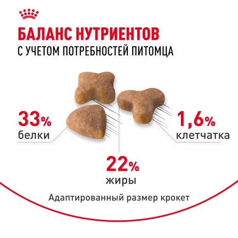Сухой корм Royal Canin Sensible для кошек, 2 кг фото 5