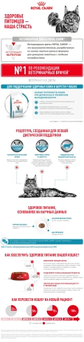 Сухой корм Royal Canin Skin & Coat для кошек, 3,5 кг фото 10