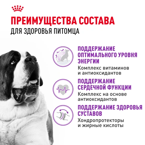 Сухой корм Royal Canin Giant Adult для собак, 4 кг фото 3