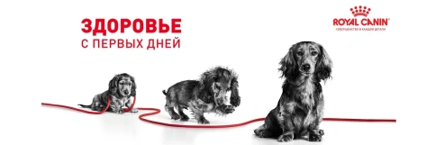 Сухой корм Royal Canin X-Small Puppy для щенков, 1,5 кг фото 19