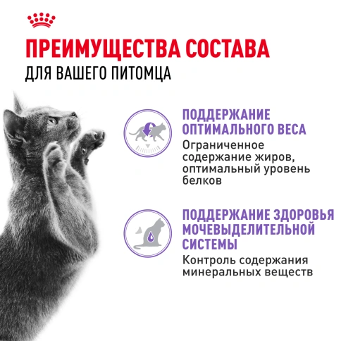 Влажный корм Royal Canin Sterilised в желе для стерилизованных кошек старше 1 года, пауч, 85 г фото 11