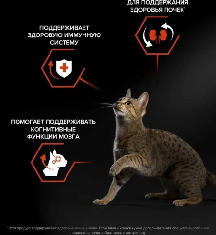 Сухой корм PRO PLAN Salmon для взрослых кошек, с высоким содержанием лосося, 400 г фото 2