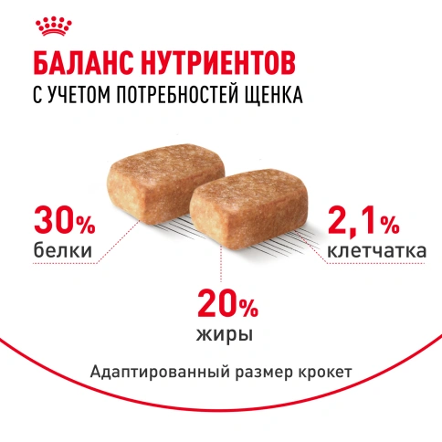 Сухой корм Royal Canin Chihuahua Puppy для щенков породы чихуахуа, 1,5 кг фото 4