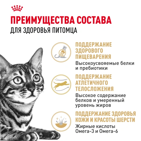 Сухой корм Royal Canin Bengal для кошек бенгальской породы, 2 кг фото 3