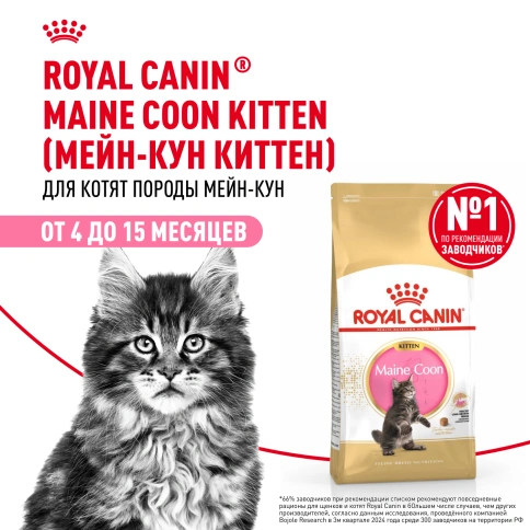 Сухой корм Royal Canin Kitten Maine Coon для котят, 2 кг фото 14