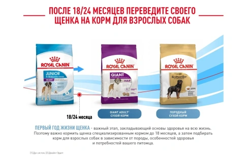 Сухой корм Royal Canin Giant Junior для щенков, 3,5 кг фото 14