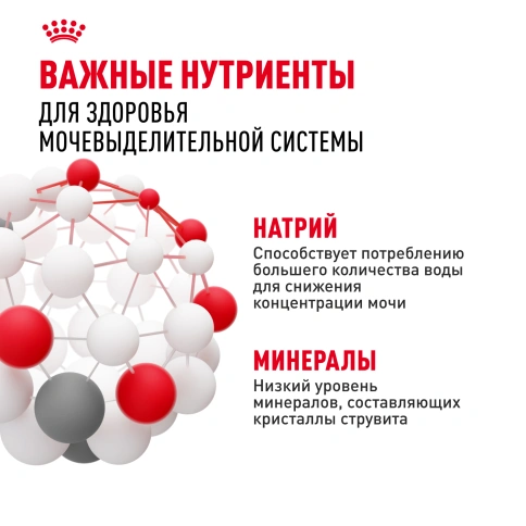 Сухой корм Royal Canin Mini Urinary Care для собак, 1 кг фото 5