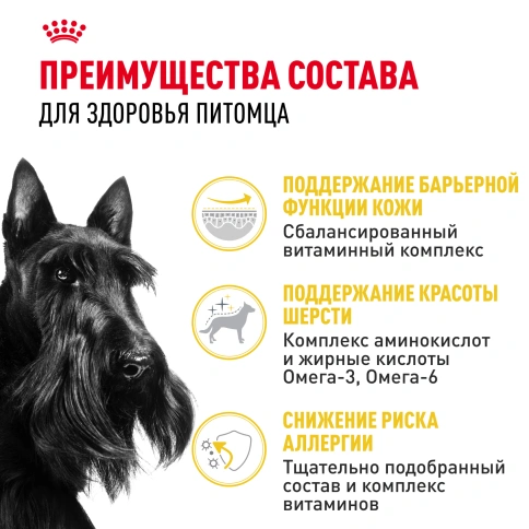 Сухой корм Royal Canin Mini Dermacomfort для собак, 1 кг фото 3