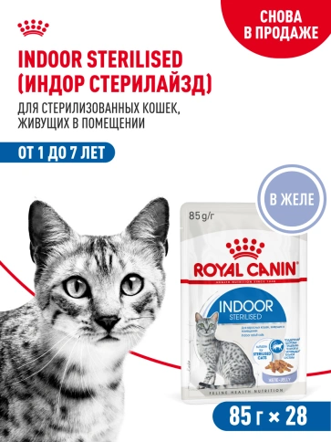 Влажный корм Royal Canin Indoor sterilised в желе для кошек, живущих в помещении, пауч, 85 г фото 17