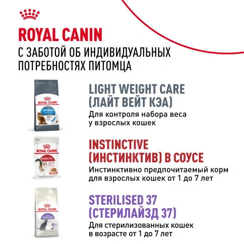 Влажный корм Royal Canin Indoor в соусе для кошек, живущих в помещении, пауч, 85 г фото 10