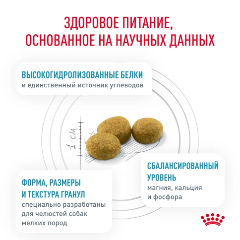 Сухой корм Royal Canin Hypoallergenic Small Dogs для собак, 3,5 кг фото 5