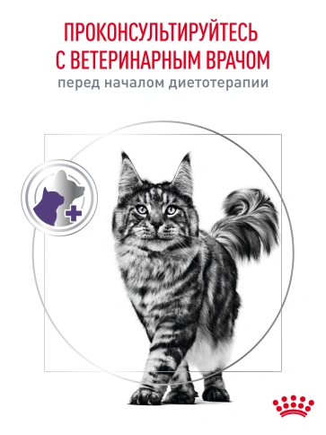 Сухой корм Royal Canin Neutered Satiety Balance для кастрированных котов и стерилизованных кошек до 7 лет, 300 г фото 22
