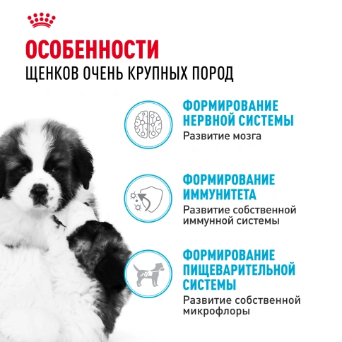 Сухой корм Royal Canin Giant Puppy для щенков, 3,5 кг фото 2