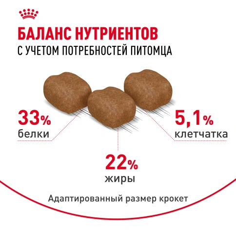 Сухой корм Royal Canin Hair & Skin Care для кошек, 400 г фото 5