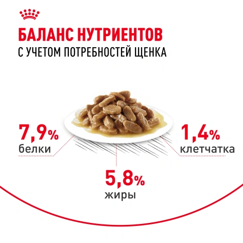 Влажный корм Royal Canin Mini Puppy в соусе для щенков мелких пород до 10 месяцев, пауч, 85 г фото 14
