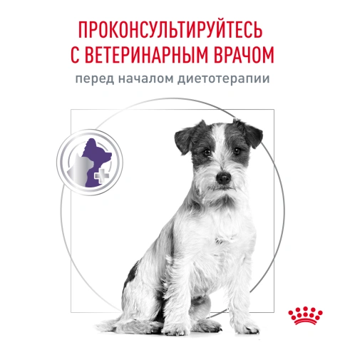 Сухой корм Royal Canin Neutered Adult Small Dogs для стерилизованных собак мелких пород, 3,5 кг фото 7