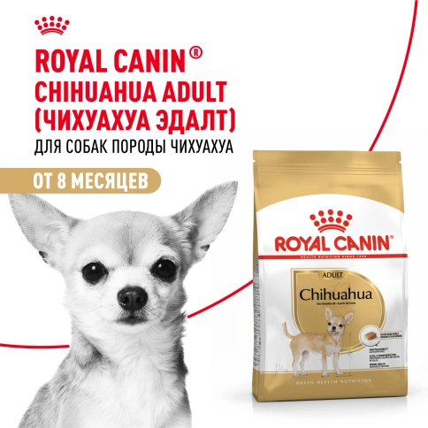 Сухой корм Royal Canin Chihuahua Adult для собак породы чихуахуа, 1,5 кг фото 15
