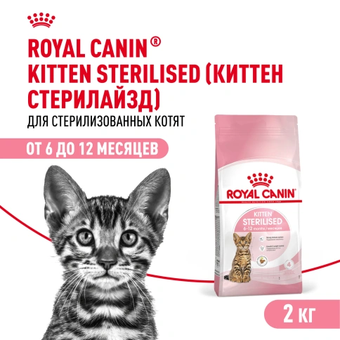 Сухой корм Royal Canin Kitten Sterilised для котят, 2 кг фото 1