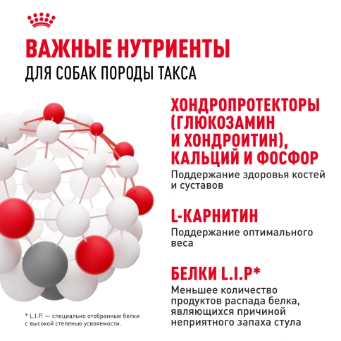 Сухой корм Royal Canin Dachshund Adult для собак породы такса, 7,5 кг фото 5