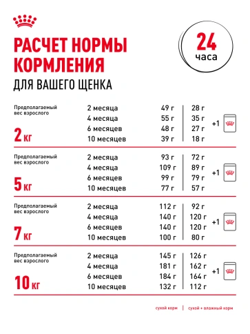 Сухой корм Royal Canin Mini Puppy для щенков, 800 г фото 27