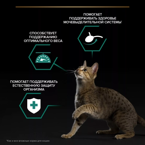 Влажный корм PRO PLAN Beef для котят, с говядиной в соусе, 85 г фото 2