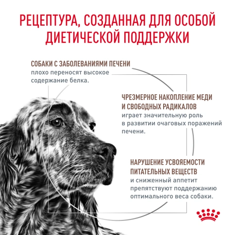 Сухой корм Royal Canin Hepatiс для собак, 1,5 кг фото 3