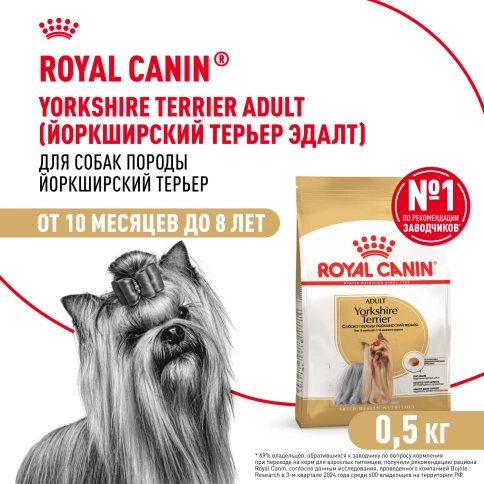 Сухой корм Royal Canin Yorkshire Terrier Adult для взрослых собак, 500 г фото 1