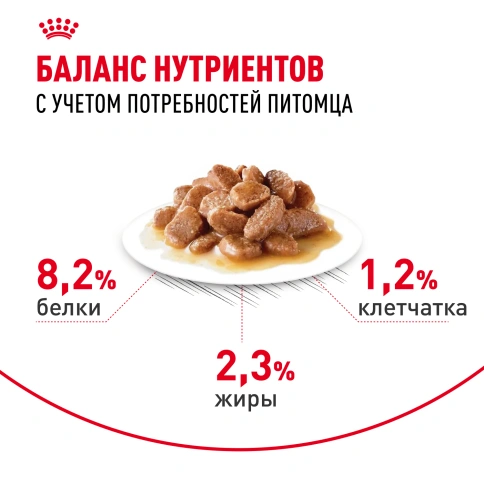 Влажный корм Royal Canin Appetite Control Care в соусе для взрослых кошек, для контроля выпрашивания корма, пауч, 85 г фото 4