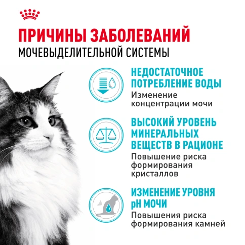 Сухой корм Royal Canin Urinary Care для кошек для профилактика мочекаменной болезни, 400 г фото 2