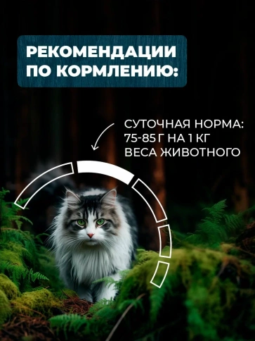 Влажный корм Родные корма Beef & Liver для стерилизованных кошек и кастрированных котов, с говядиной и печенью кусочки в желе по-таежному, 85 г фото 4