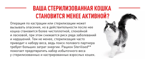 Сухой корм Royal Canin Sterilised для кастрированных котов и стерилизованных кошек, 400 г фото 4
